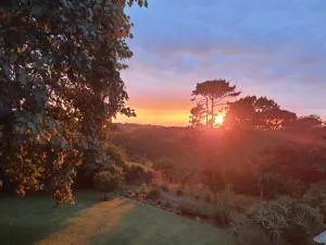 Monkey Heartland - Waterfall