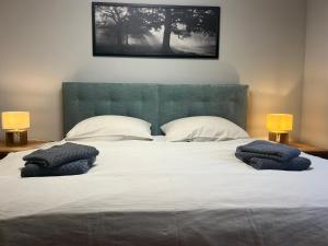 Panoramablick Willingen Schwalefeld