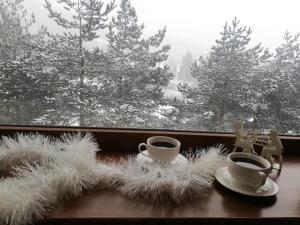 My Sweet Home in Bakuriani