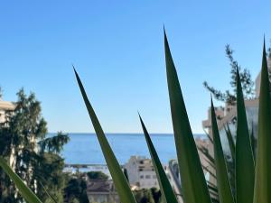 Luxury Top Floor Apartment with terrace - Beaulieu Sur Mer