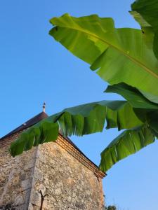 Villas Domaine de Lagrange : photos des chambres