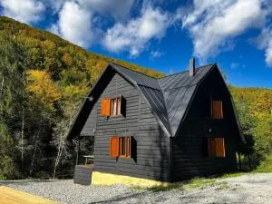 Cabana Drăgana - Poiana