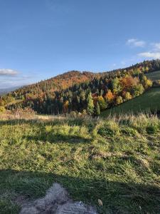 Dom na końcu świata