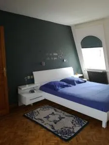 "Côté cœur", charmant appartement au centre de Munster - Eschbach-au-Val