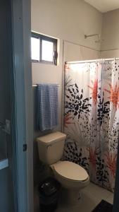 Hotel- Whale Tours and Sport fishing Vista Mag-Bay