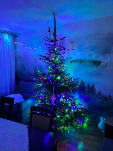 Apartament pod Honem