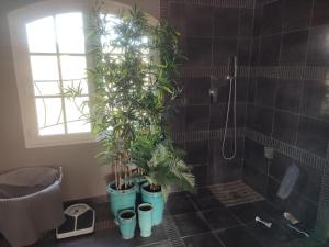 Appartements Loft Tourtour : photos des chambres