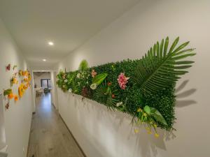 Apartamentos La Camelia