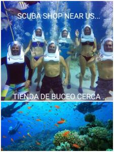 Marysol Lodging Hostel & Camping