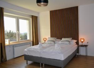 Leśna Muzyka Apartment Limanowa