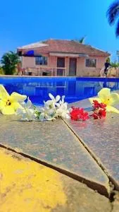 Solitude villa - Amarnāth