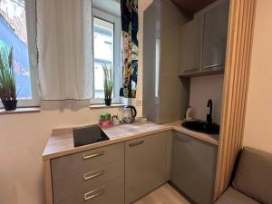 Cozy 1 bedroom apartment