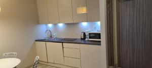 Apartamenty Czarna Góra T17