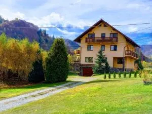 Pensiunea Andy Moieciu - Dîmbovicioara