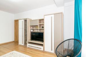 Apartament Central