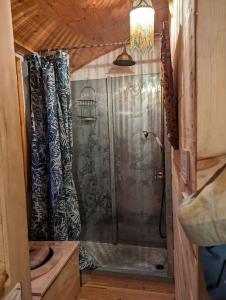 Chalets roulotte a la mauvaise herbe : photos des chambres