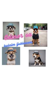 Seoski Turizam Feniks - apartman Ostrog