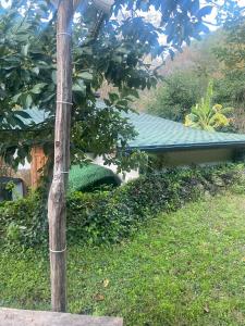 bungalow
