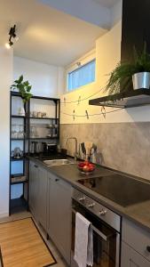 BELLAVISTA-lake view apartment - Ranco