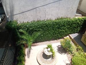 Departamento dos ambientes Belgrano R