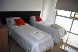 House and Suite Premium