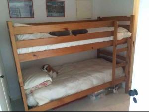 Complejo Lincoln Center Punta del Este