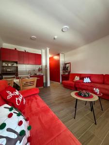 Silver Pine Kopaonik