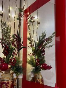 Silver Pine Kopaonik