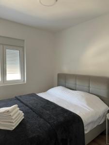 Apartman Mountain pine