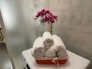 Ca Mariuccia appartamento in Venaria Reale