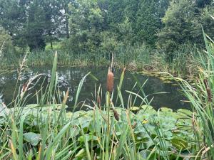 Le Gaston, chalet en campagne