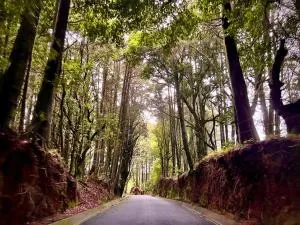 Residencial de montaña Los Quetzales - Fraijanes