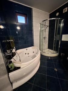 Къща Каменар