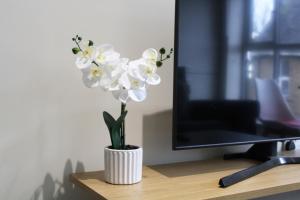 Lovely Studio Flat in Bolton