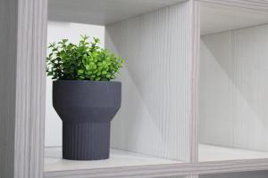 Lovely Studio Flat in Bolton