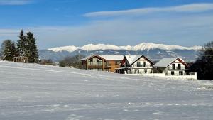 Kamienok Chalet 1