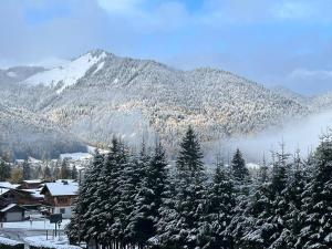 Appartements Les Chalets de Montriond B101 : photos des chambres