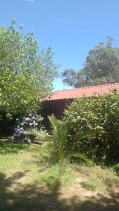 Contenedor en Punta del Diablo