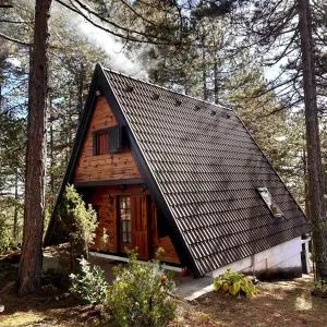 Tara Rustic Retreat - Šanik