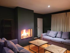 Les Roses de François