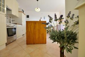 Apartments with parking space Novalja, Pag - 22055