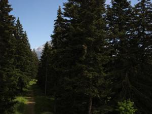 Appartement confortable proche des pistes à Chamrousse - FR-1-549-135