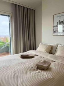 Penthouse in the city center