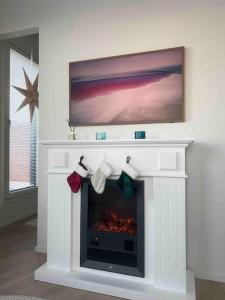 Penthouse in the city center