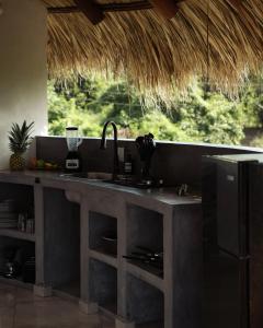 Villas Oasis, Troncones