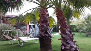 B&B "Corte San Tomaso"