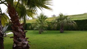 B&B "Corte San Tomaso"