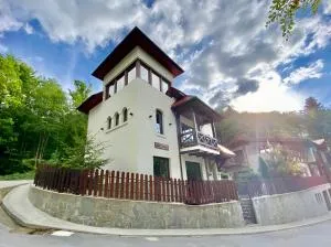 Alfinio Villa - Sinaia