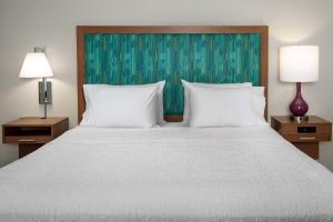 King Studio Suite with Sofa Bed - Hearing Access/Non-Smoking room in Hampton Inn & Suites Orangeburg SC
