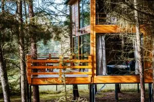 Wood Land Liswarta domki w drzewach - Popów